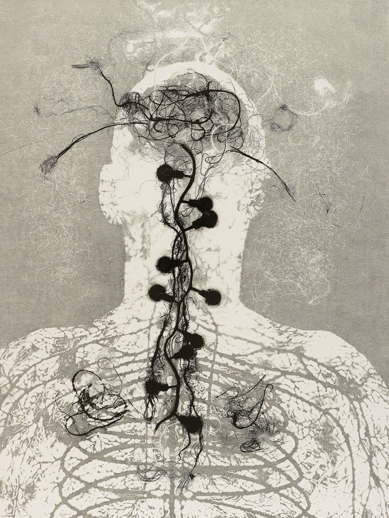 Enlightenment 3, Susan Aldworth & Andrew Carnie, monoprint 2015, 86 x 76cms